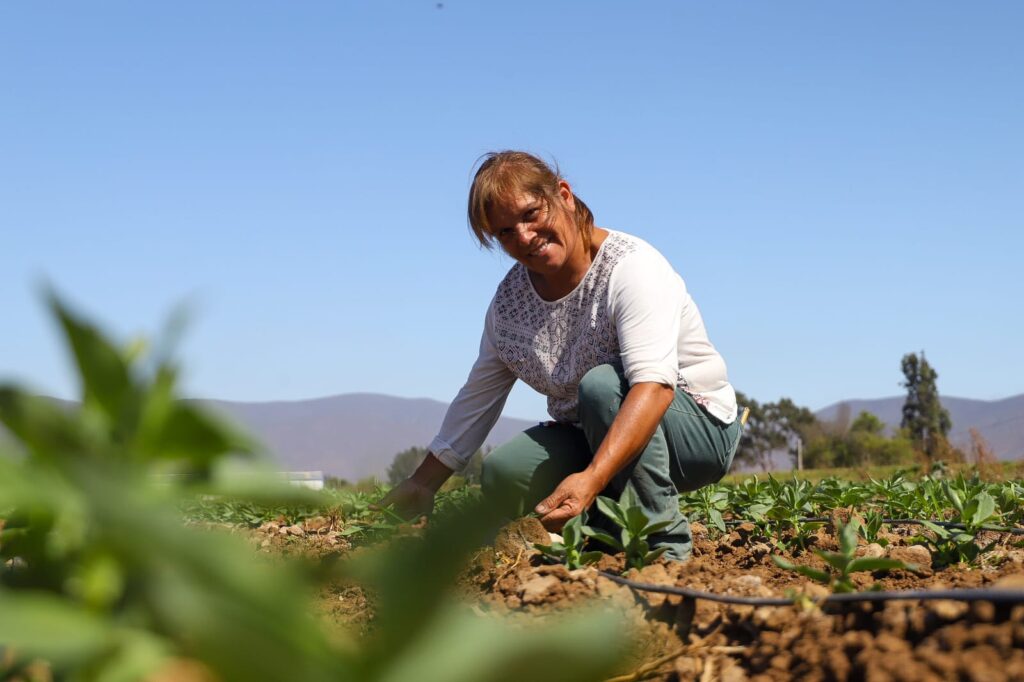 n una apuesta por fortalecer el rol de la mujer en la agricultura y mejorar la gestión del agua en las regiones de Atacama y Coquimbo, la Comisión Nacional de Riego (CNR) ha anunciado la apertura del concurso "Riego para Mujeres" (06-2025), una iniciativa que destinará 2.500 millones de pesos a proyectos liderados por pequeñas agricultoras.