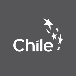 Logo_MarcaChile_Caja Gris